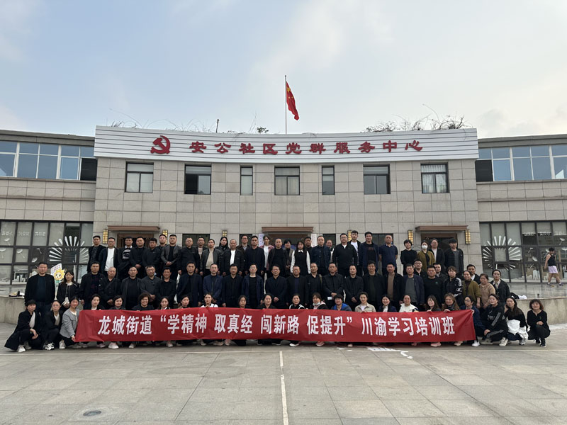 龙城街道“学精神 取真经 闯新路 促提升” 川渝学习培训班